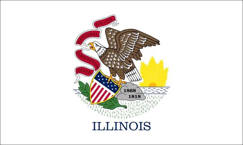 Illinois – Flaga – Magnes żywiczny - obrazek 2