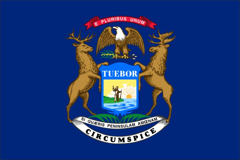 Živicová magnetka - vlajka Michigan - obrazek 2