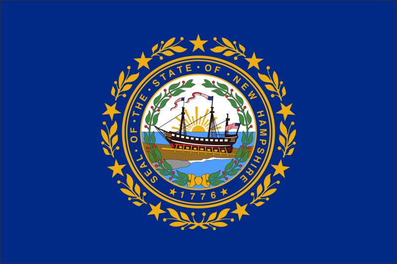 New Hampshire – Flaga – Magnes żywiczny - obrazek 2
