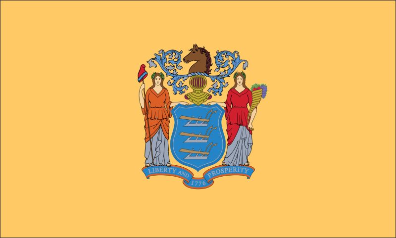 New Jersey – Flaga – Magnes żywiczny - obrazek 2