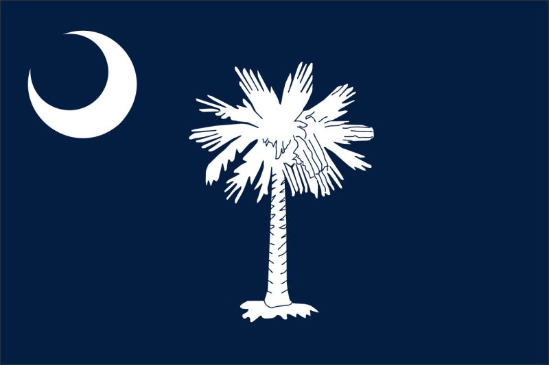 South Carolina – Flaga – Magnes żywiczny - obrazek 2