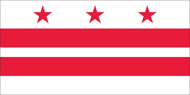 District of Columbia – Flaga – Magnes żywiczny - obrazek 2