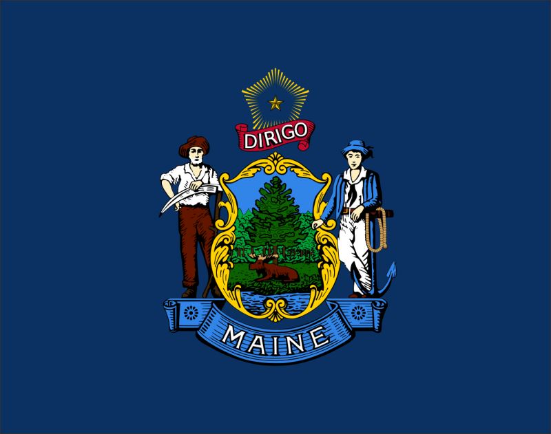 Maine – Flaga – Magnes żywiczny - obrazek 2