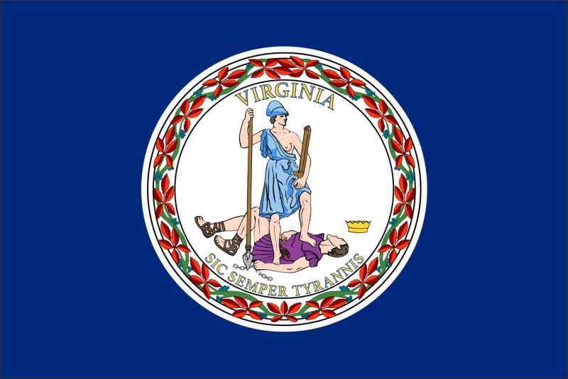 Virginia – Flaga – Magnes żywiczny - obrazek 2