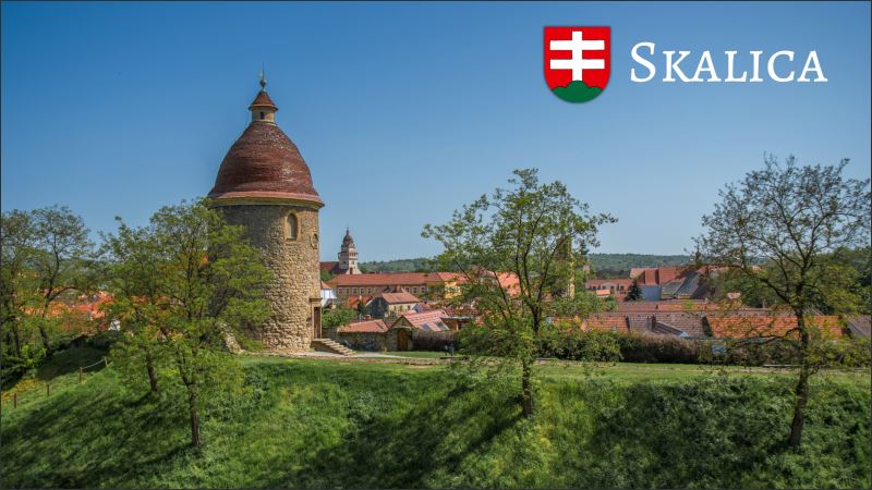 Miasto Skalica III. – Magnes żywiczny - obrazek 2