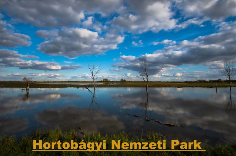 Park Narodowy Hortobágy – Magnes żywiczny - obrazek 2