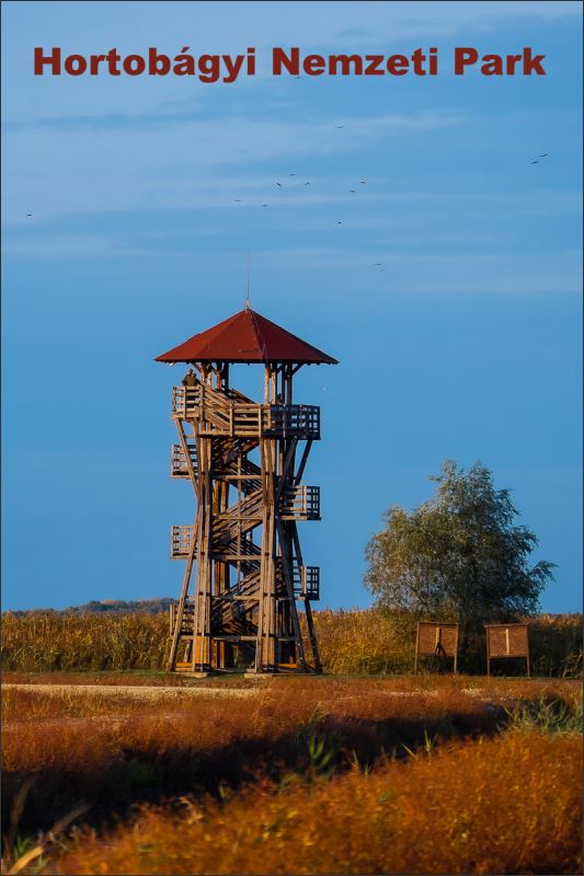 Park Narodowy Hortobágy II – Magnes żywiczny - obrazek 2