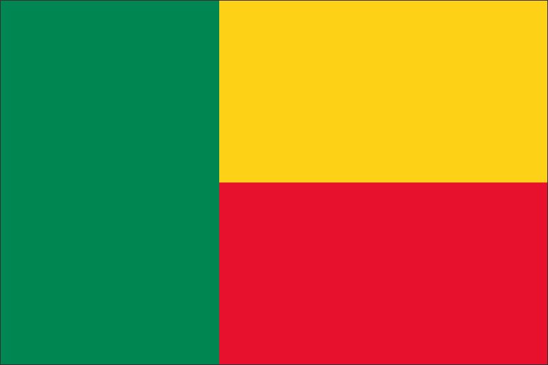 Benin – Flaga – Magnes żywiczny - obrazek 2