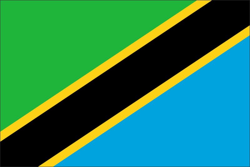 Tanzania – Flaga – Magnes żywiczny - obrazek 2