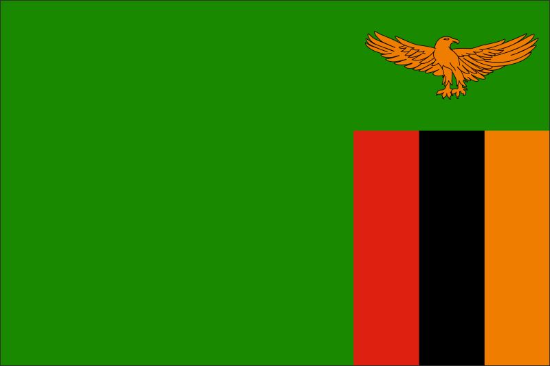 Zambia – Flaga – Magnes żywiczny - obrazek 2