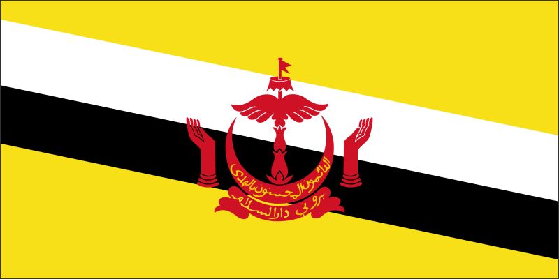 Brunei – Flaga – Magnes żywiczny - obrazek 2