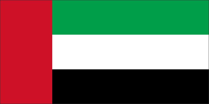 Živicová magnetka - vlajka Spojené arabské emiráty - obrazek 2