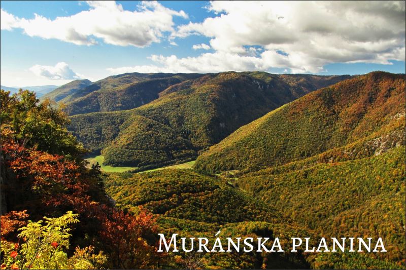 Národný park Muránska planina – Magnes żywiczny - obrazek 2