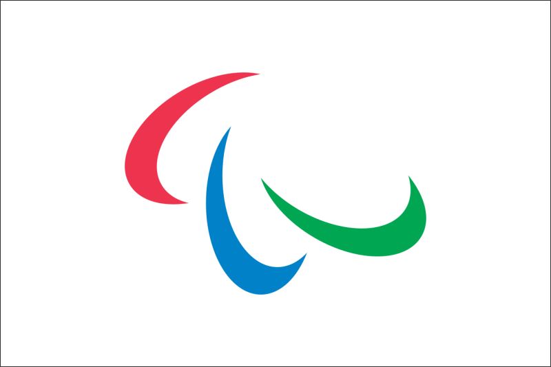Igrzyska Paraolimpijskie – Flaga – Magnes żywiczny - obrazek 2