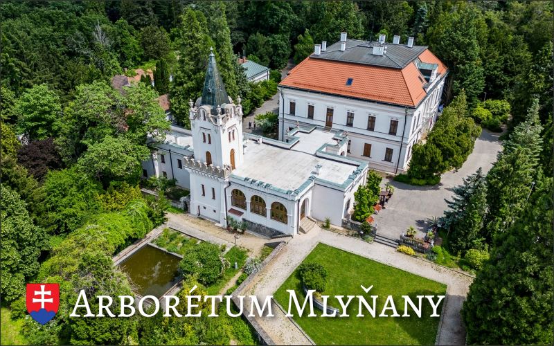 Arboretum Mlyňany I. – Magnes żywiczny - obrazek 2