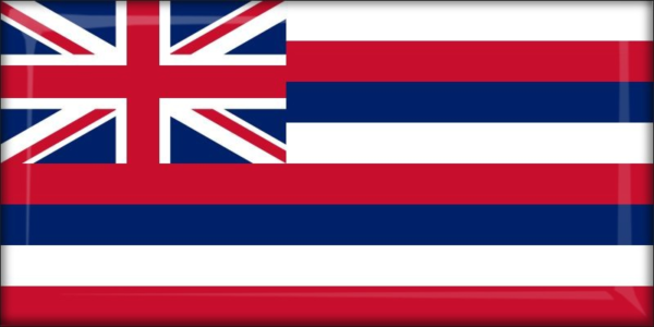 Živicová magnetka - vlajka Hawaii