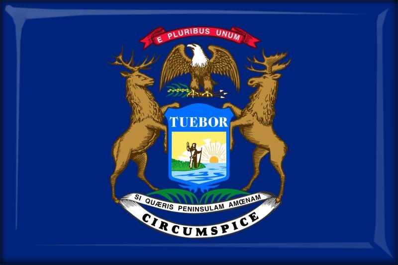 Živicová magnetka - vlajka Michigan