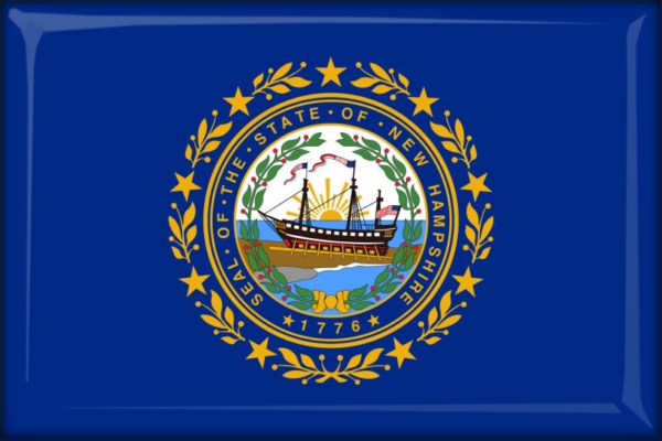 New Hampshire – Flaga – Magnes żywiczny