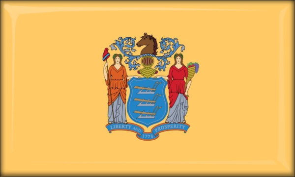 New Jersey – Flaga – Magnes żywiczny