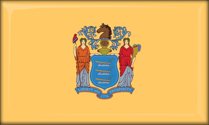 New Jersey – Flaga – Magnes żywiczny