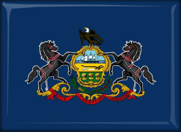 Pennsylvania – Flaga – Magnes żywiczny
