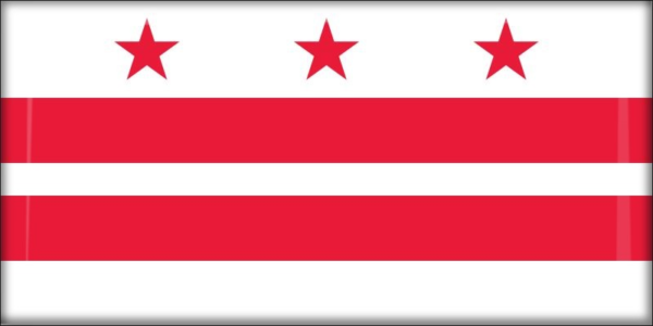 District of Columbia – Flaga – Magnes żywiczny