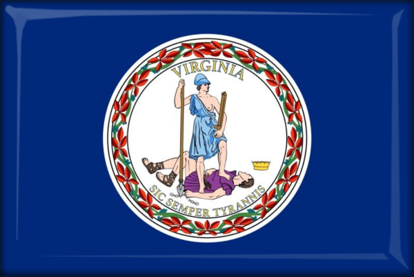 Virginia – Flaga – Magnes żywiczny