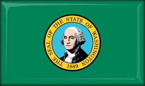 Washington – Flaga – Magnes żywiczny