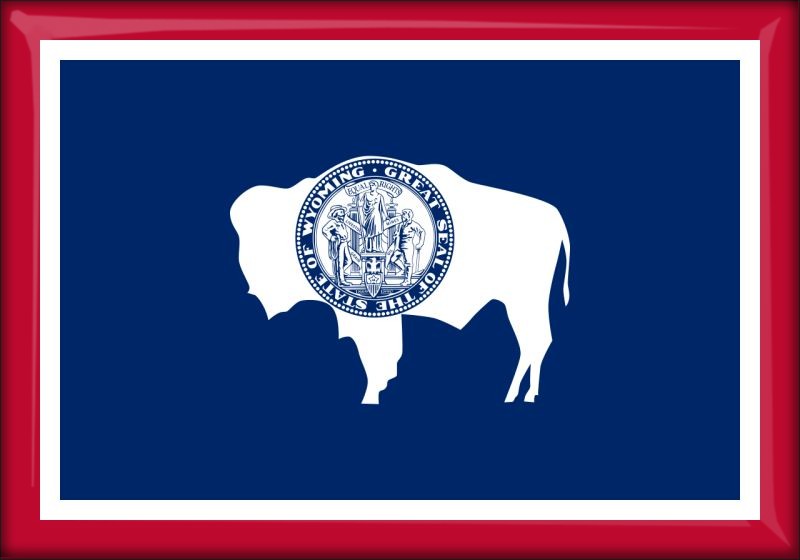Wyoming – Flaga – Magnes żywiczny
