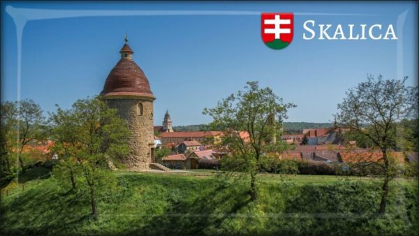 Miasto Skalica III. – Magnes żywiczny