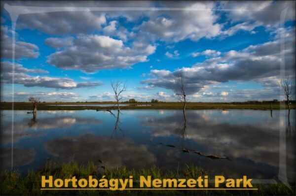 Živicová magnetka - Hortobágyi Národný park