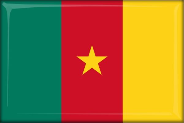 Kamerun – Flaga – Magnes żywiczny