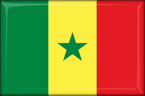 Senegal – Flaga – Magnes żywiczny