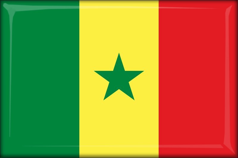 Senegal – Flaga – Magnes żywiczny