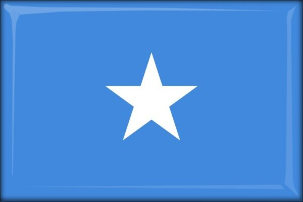 Somalia – Flaga – Magnes żywiczny