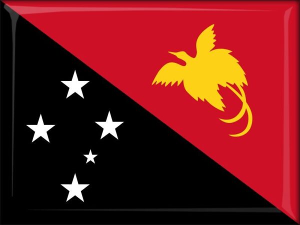 Papua-Nowa Gwinea – Flaga – Magnes żywiczny