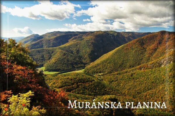 Národný park Muránska planina – Magnes żywiczny
