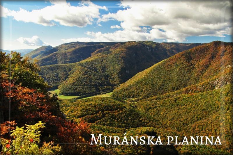 Národný park Muránska planina – Magnes żywiczny