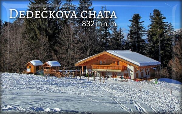 Chata Dedečka – zima – Magnes żywiczny
