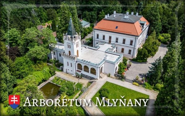 Arboretum Mlyňany I. – Magnes żywiczny