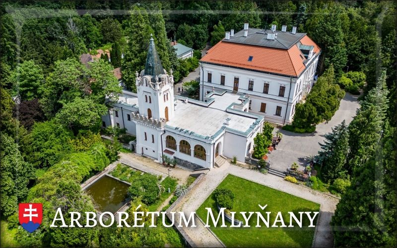 Arboretum Mlyňany I. – Magnes żywiczny