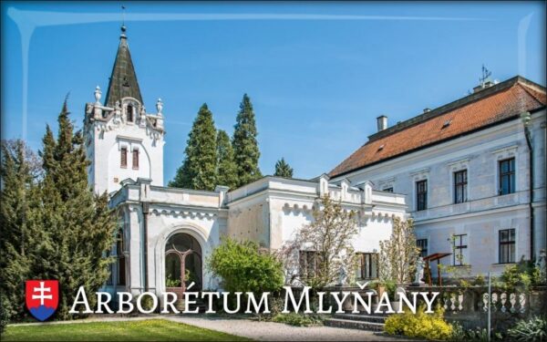 Arboretum Mlyňany II. – Magnes żywiczny
