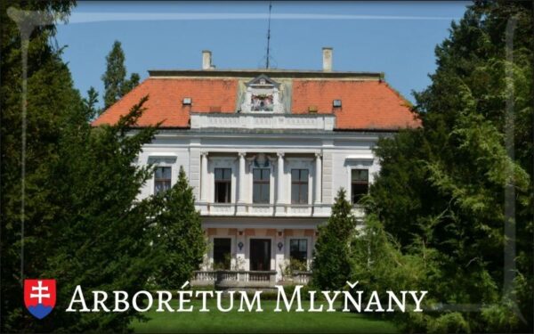 Arboretum Mlyňany III. – Magnes żywiczny