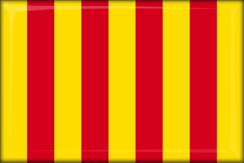 Francja - Prowansja – Flaga – Magnes żywiczny