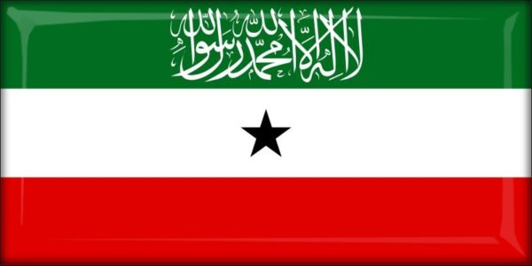 Republika Somaliland – Flaga – Magnes żywiczny