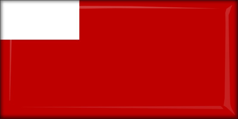 Abu Zabi (Zjednoczone Emiraty Arabskie) – Flaga – Magnes żywiczny